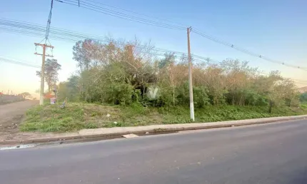 Terreno comercial com quase 1000m2 próximo ao moradas Manta Maria!