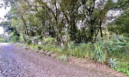 Terreno à venda na Alameda Timbaúva, 350, Cerrito, Santa Maria