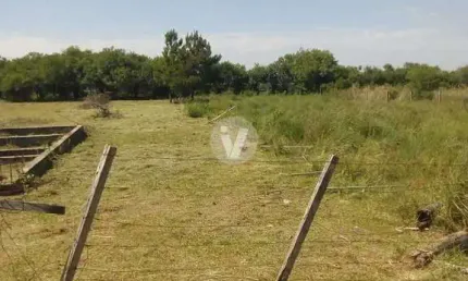 Terreno à venda Diácono João Luiz Pozzobon Santa Maria/RS