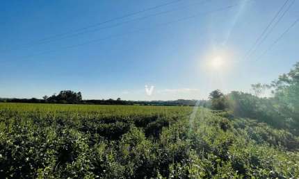 Terreno comercial à venda na Estrada Pau A Pique, 999, Diácono João Luiz Pozzobon, Santa Maria