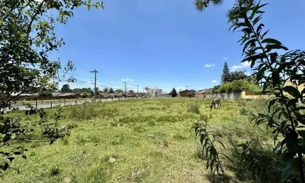 TERRENO DE ESQUINA NO PARQUE PINHEIRO MACHADO - PRONTO PARA CONSTRUIR