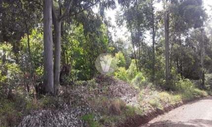 Terreno à venda na Horto Dos Eucaliptos, Lote 8 Qua, Parque Serrano, Itaara