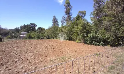 Terreno à venda na Rua Ulisses Guimarães, 00, Parque Serrano, Itaara
