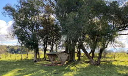 Chácara / sítio com 1 quarto à venda na Rua Syllas Pauler, s n, Parque Serrano, Itaara