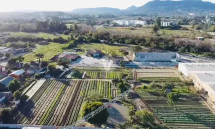 Oportunidade de terreno com ampla metragem no bairro Patronato