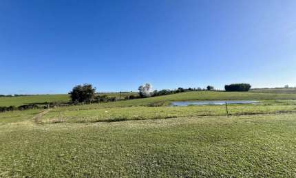 Chácara / sítio com 3 quartos à venda na Interior, SN, Arroio do Só, Santa Maria