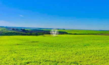 Área Rural à venda em Cacequi com 300 ha, possuindo 10ha de barragem