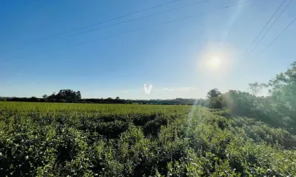 Chácara / sítio à venda na Estrada Pau A Pique, 999, Diácono João Luiz Pozzobon, Santa Maria