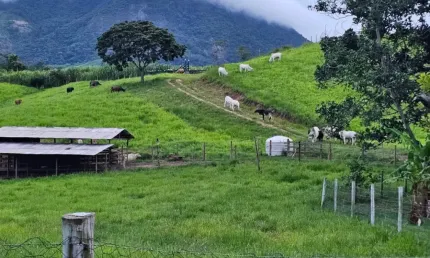 Fazenda com 2 salas à venda na Avenida Quintino Bocaiúva, 1, São Francisco, Niterói