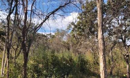 Terreno à venda, 1600 m² por R$ 200.000,00 - Recanto da Lagoa - Lagoa Santa/MG