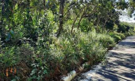 Terreno à venda, 1600 m² por R$ 200.000,00 - Recanto da Lagoa - Lagoa Santa/MG