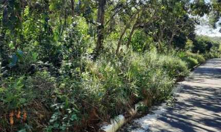 Terreno à venda, 1600 m² por R$ 200.000,00 - Recanto da Lagoa - Lagoa Santa/MG
