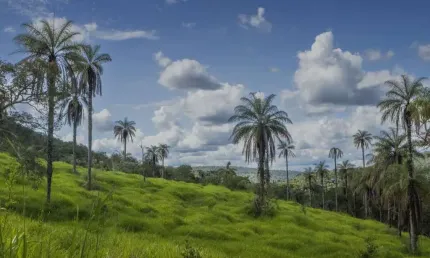 Terreno à venda, 31045 m² por R$ 500.000,00 - Terras Verdes - Lagoa Santa/MG