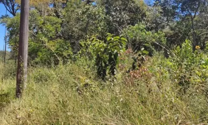 Terreno à venda em Recanto da Lagoa, Lagoa Santa 