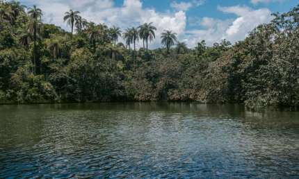 Terreno à venda, 45965 m² por R$ 600.000,00 - Terras Verdes - Lagoa Santa/MG