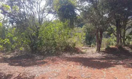 Terreno à venda, 6000 m² por r$ 3.900.000,00 - vila maria - lagoa santa/mg