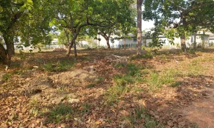 Terreno à venda, 1040 m² por R$ 649.000,00 - Condomínio Veredas da Lagoa - Lagoa Santa/MG