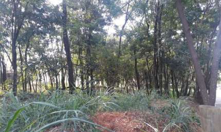Terreno à venda, 2500 m² por R$ 1.280.000,00 - Condomínio Condados da Lagoa - Lagoa Santa/MG
