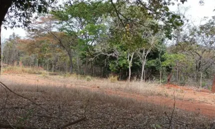 Terreno à venda, 4250 m² por r$ 460.000,00 - palmital - lagoa santa/mg