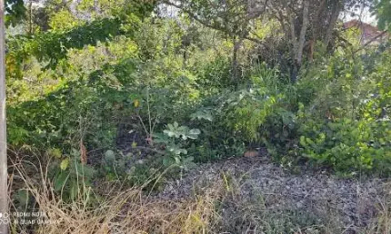 Terreno à venda, 1000 m² por r$ 160.000,00 - condomínio vale do luar - jaboticatubas/mg