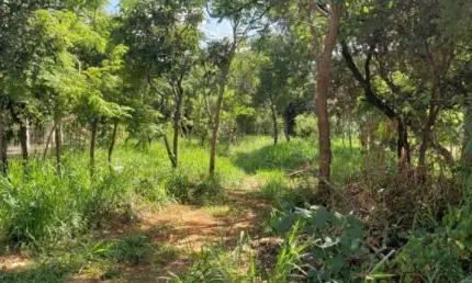 Terreno à venda, 1000 m² por R$ 580.000,00 - Condomínio Veredas da Lagoa - Lagoa Santa/MG