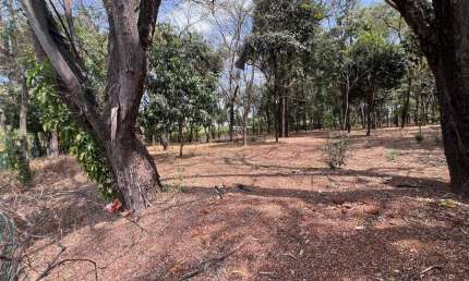Terreno em condomínio fechado à venda na Estância das Amendoeiras, Lagoa Santa 