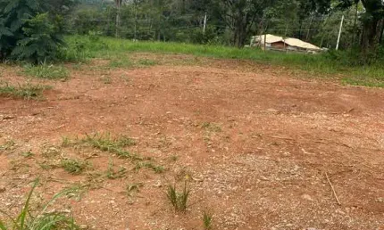 Terreno à venda no Jardim Ipê, Lagoa Santa 