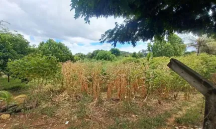 Terreno à venda, 1000 m² por R$ 700.000,00 - Jardim Ipê - Lagoa Santa/MG