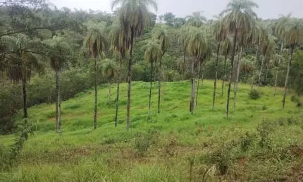 Área à venda, 110000 m² por R$ 403.000,00 - Zona Rural - Jaboticatubas/MG