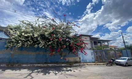 Casa com 6 quartos à venda no Jardim Ipê, Lagoa Santa 