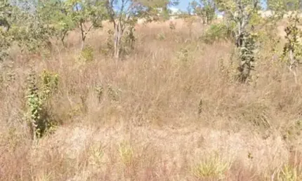 Terreno à venda, 1000 m² por R$ 350.000,00 - Lagoa Mansões - Lagoa Santa/MG