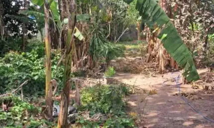 Terreno à venda na rua da pedreira, cascadura, rio de janeiro por r$ 800.000