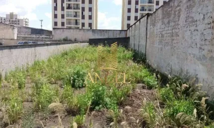 Terreno à venda no Jardim Vila Formosa, São Paulo 