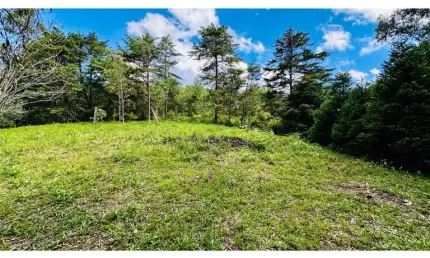 Sítio / Chácara para Venda no bairro Padre Eterno Ilges em Santa Maria do Herval, 4337 m² privativos,
