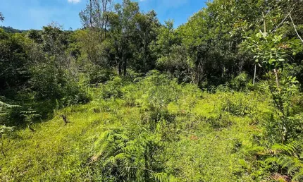 Sítio / Chácara para Venda no bairro Alto Padre Eterno em Santa Maria do Herval, 29000 m² privativos,