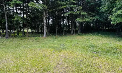 Sítio / Chácara para Venda no bairro Alto Padre Eterno em Santa Maria do Herval, 5000 m² privativos,