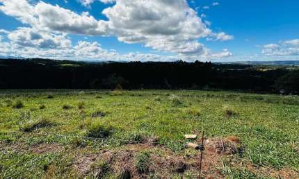 Sítio / Chácara para Venda no bairro Zona Rural em Sapiranga, 5000 m² privativos,