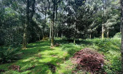Terreno para Venda no bairro Linha Imperial em Nova Petrópolis, 4700 m² privativos,