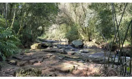 Sítio / Chácara para Venda no bairro São Jacó em Nova Petrópolis, 20000 m² de área total,