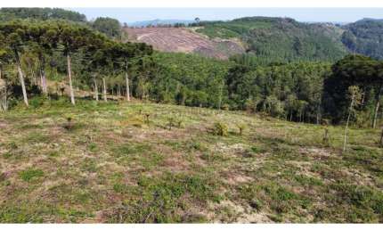 Sítio / Chácara para Venda no bairro Linha Tapera em Gramado, 32000 m² de área total,