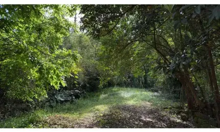 Terreno para Venda no bairro Amaral Ribeiro em Sapiranga, 853 m² de área total,