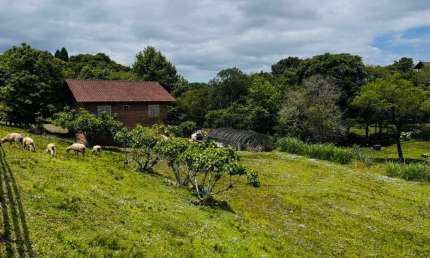 Sítio / Chácara para Venda no bairro Serra Grande em Três Coroas, 2 quartos, 700 m² privativos,