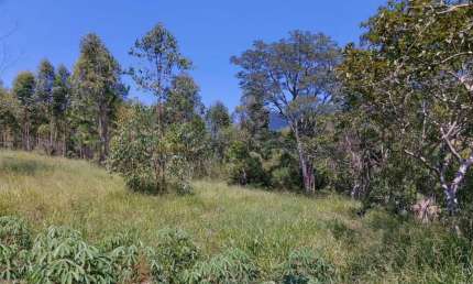 Sítio / Chácara para Venda no bairro Zona Rural em Araricá, 27317 m² privativos,