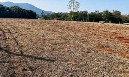 Sítio / Chácara para Venda no bairro Zona Rural em Nova Hartz, 20000 m² privativos,