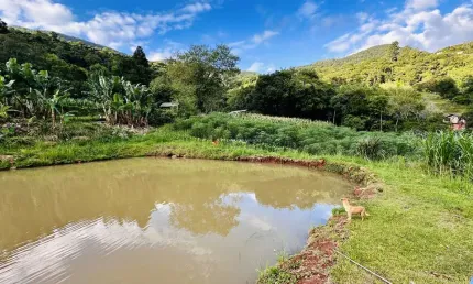 Sítio / Chácara para Venda no bairro Solitária Alta em Igrejinha, 4 quartos, 2 vagas, 20000 m² de área total, 20000 m² privativos,