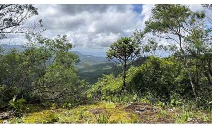 Terreno para Venda no bairro Mato Comprido em Morro Reuter, 1000 m² privativos,