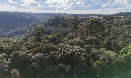 Terreno para Venda no bairro Centro em Canela, 802 m² de área total, 802 m² privativos,