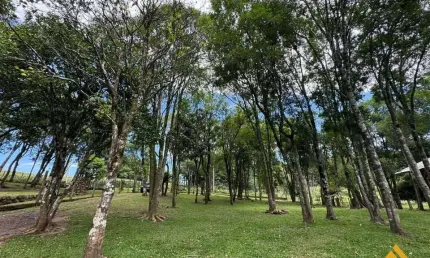 Sítio / chácara para venda no bairro serra grande em três coroas