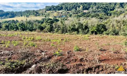 Sítio / chácara para venda no bairro linha quatro cantos em morro reuter