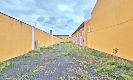 Casa com 8 quartos para alugar no Jardim Zara, Ribeirão Preto 